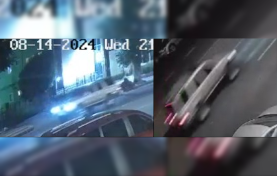 LAPD Seeks Public's Help to Locate Suspect in Hit-and-Run Involving Elderly Woman on Saticoy Avenue