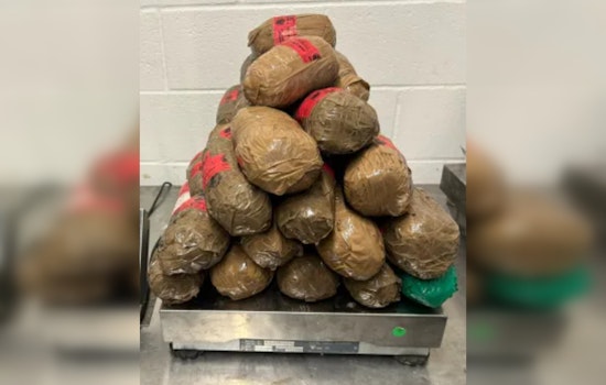Laredo CBP Officers Intercept Over $773K in Narcotics, Two Suspects Arrested in Drug Seizure Operation