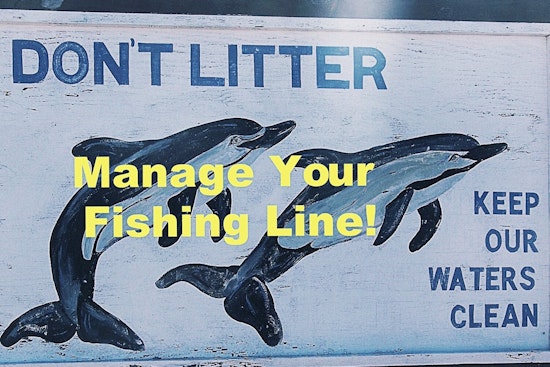 Las Vegas Community Rallies to Protect Wildlife from Discarded Fishing Line Hazards at Floyd Lamb Park