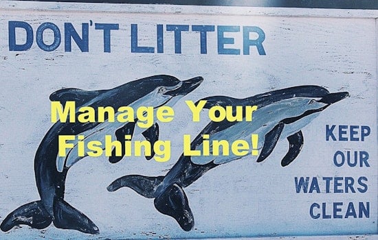 Las Vegas Community Rallies to Protect Wildlife from Discarded Fishing Line Hazards at Floyd Lamb Park