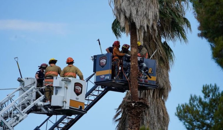 Las Vegas Emergency Crews Employ Expert Techniques in High-Altitude Rescue of Unresponsive Tree Trimmer