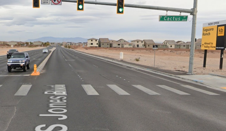 Las Vegas Garage Fire Claims Six Cats, Causes $100K in Damages