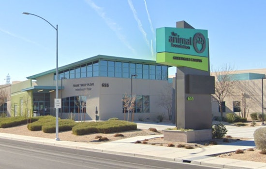 Las Vegas to Host "Electric Doggy Carnival" for Fee-Waived Dog Adoptions at The Animal Foundation