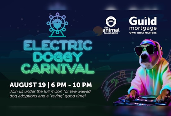 Las Vegas to Host 'Electric Doggy Carnival' for Nighttime Adoption Extravaganza at The Animal Foundation