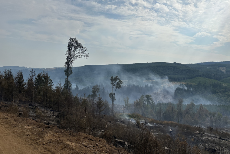 Lee Falls Fire 25% Contained, Evacuation Orders Eased in Washington County