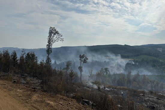 Lee Falls Fire 25% Contained, Evacuation Orders Eased in Washington County