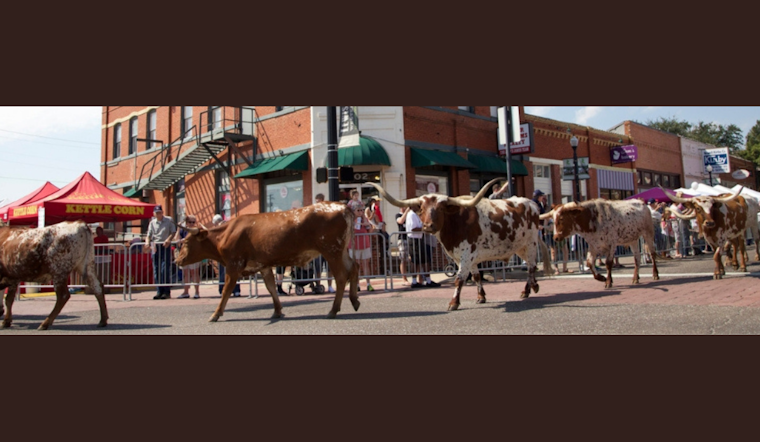 Lewisville Invites Entries for the Huffines Auto Dealerships Cattle Drive Parade Ahead of PBR Event