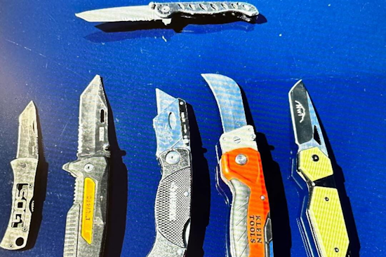 Los Altos Suspect on Parole Arrested with Narcotics After Ace Hardware Shoplifting Incident