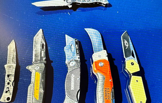 Los Altos Suspect on Parole Arrested with Narcotics After Ace Hardware Shoplifting Incident