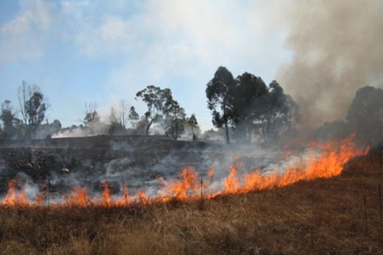 Los Angeles Firefighters Douse Boyle Heights Grass Fire as LAPD Investigates Potential Arson