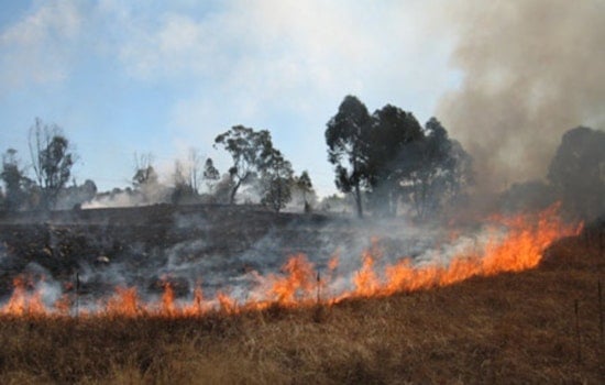 Los Angeles Firefighters Douse Boyle Heights Grass Fire as LAPD Investigates Potential Arson