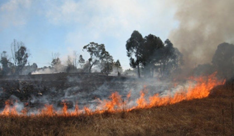 Los Angeles Firefighters Douse Boyle Heights Grass Fire as LAPD Investigates Potential Arson