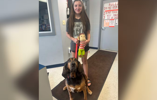 Lost Dog Reunited with Owners After Six Years and Interstate Move from Lorain to Florida