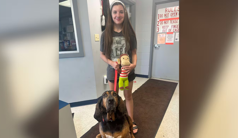Lost Dog Reunited with Owners After Six Years and Interstate Move from Lorain to Florida