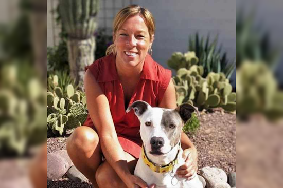 Lost Pets Often Found Close to Home, Pima County Animal Care Center Advocates Local Searches Over Shelter Intake