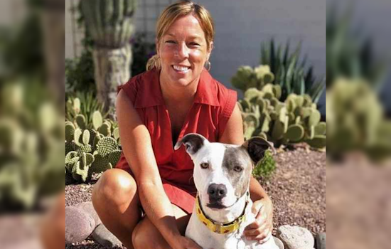 Lost Pets Often Found Close to Home, Pima County Animal Care Center Advocates Local Searches Over Shelter Intake