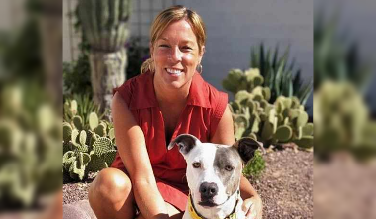 Lost Pets Often Found Close to Home, Pima County Animal Care Center Advocates Local Searches Over Shelter Intake