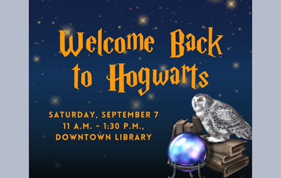 Magical Adventure Awaits at Downtown Library's Harry Potter Themed Event for Families