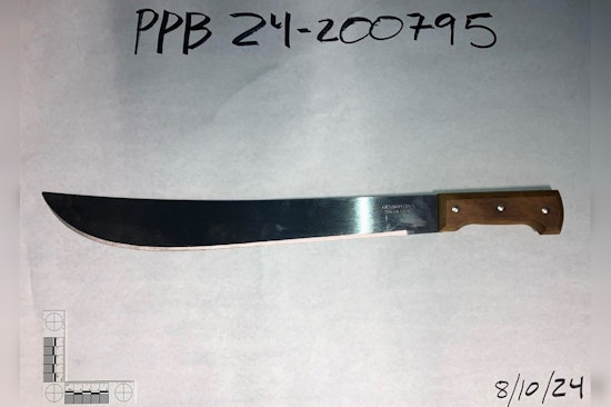 Man Charged with Assault after Machete Attack in Northeast Portland Park