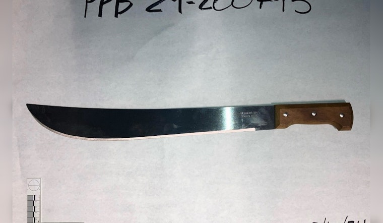 Man Charged with Assault after Machete Attack in Northeast Portland Park