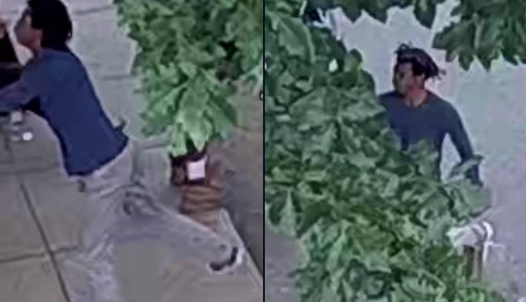 Man Stabbed in Northeast D.C., Police Seeking Suspect Caught on Surveillance