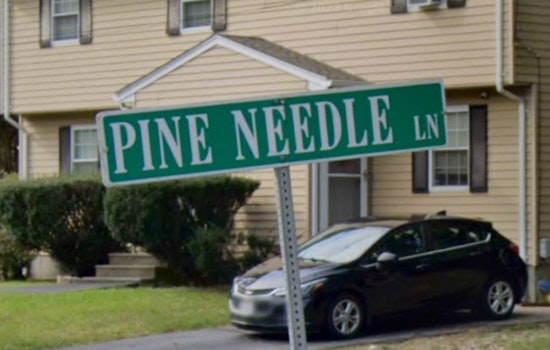 Manhunt Underway in Mansfield for Suspect Accused of Unprovoked Domestic Stabbing