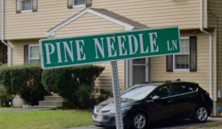 Manhunt Underway in Mansfield for Suspect Accused of Unprovoked Domestic Stabbing