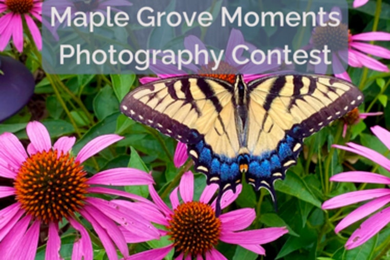 Maple Grove Unveils Local Talent in Annual Photography Contest