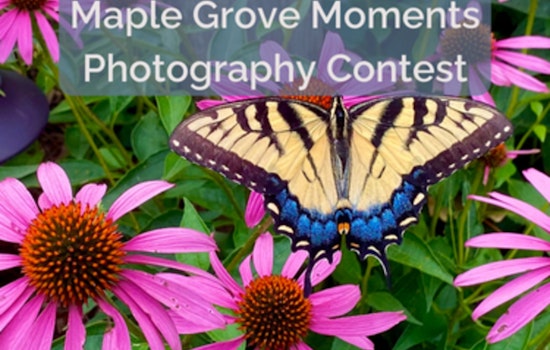 Maple Grove Unveils Local Talent in Annual Photography Contest
