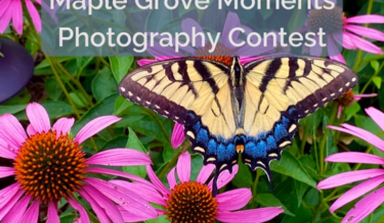 Maple Grove Unveils Local Talent in Annual Photography Contest
