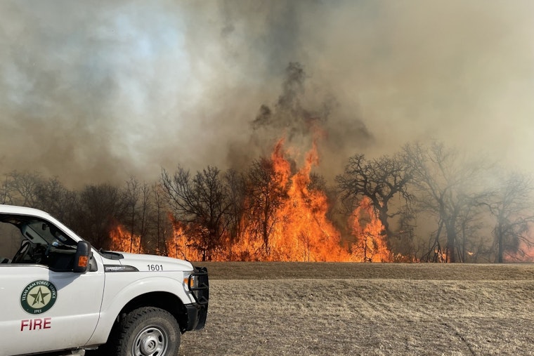 Mason County Struggles as "North Art Complex" Wildfire Engulfs 3,000 Acres, Texas A&M Forest Service and Volunteers Rally for Containment