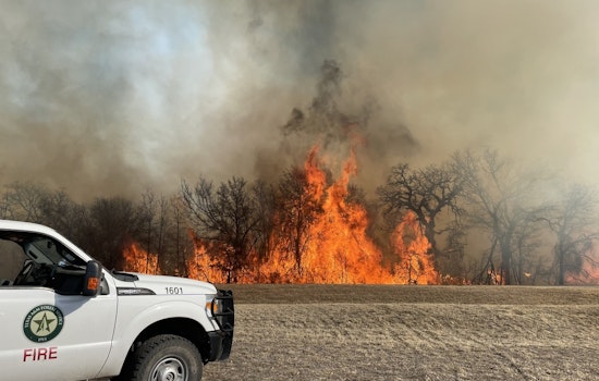 Mason County Struggles as "North Art Complex" Wildfire Engulfs 3,000 Acres, Texas A&M Forest Service and Volunteers Rally for Containment