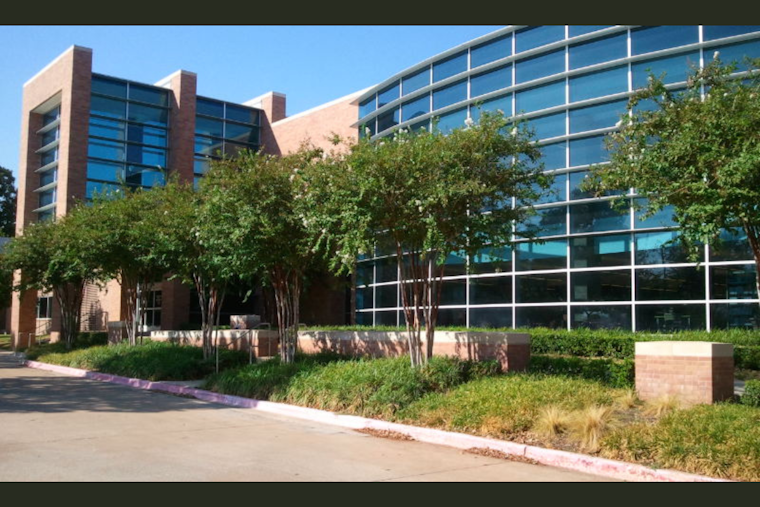 Massachusetts Artist Michele Gutlove Selected for Statement Art Piece in Lewisville Library