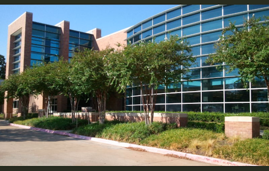 Massachusetts Artist Michele Gutlove Selected for Statement Art Piece in Lewisville Library