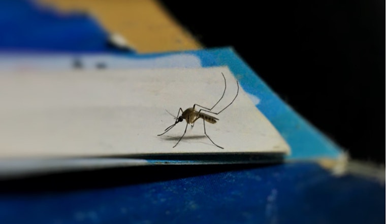 Massachusetts Launches Anti-Mosquito Offensive in Plymouth and Worcester Counties Amid EEE Virus Threat