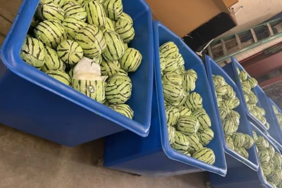 Massive $5 Million Meth Bust at San Diego Border CBP Foils Drug Smugglers' Watermelon Ruse