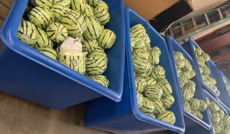 Massive $5 Million Meth Bust at San Diego Border CBP Foils Drug Smugglers' Watermelon Ruse