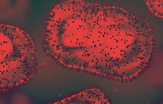 Mecklenburg County Boosts Mpox Prevention with Free Vaccines at Charlotte Pride Festival