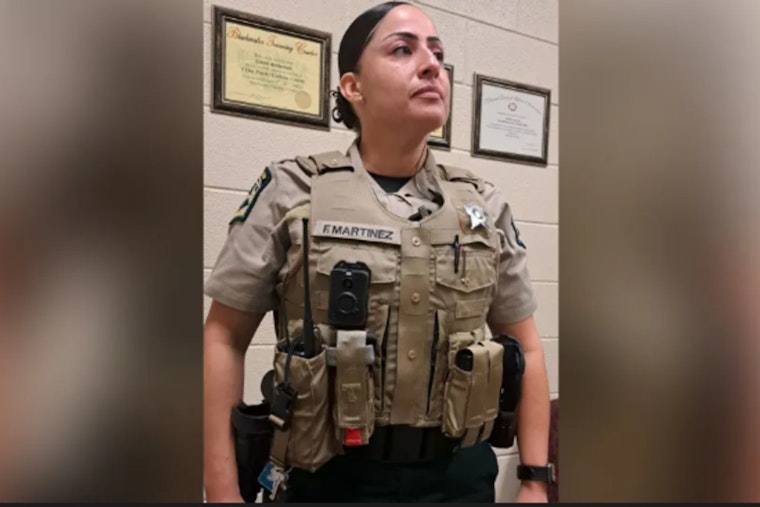 Mecklenburg County Sheriff's Office Pilots New Protective Vests Amid Safety Concerns and Debate
