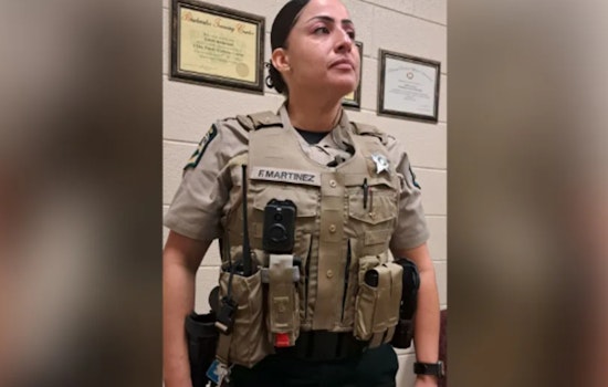 Mecklenburg County Sheriff's Office Pilots New Protective Vests Amid Safety Concerns and Debate
