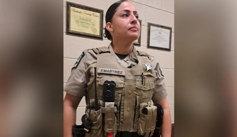 Mecklenburg County Sheriff's Office Pilots New Protective Vests Amid Safety Concerns and Debate
