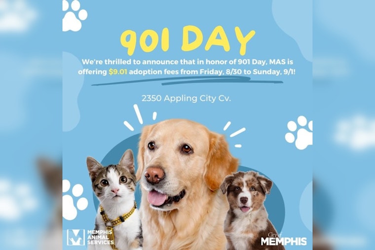 Memphis Animal Services Slashes Adoption Fees to $9.01 for 901 Day Celebration