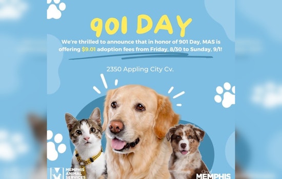 Memphis Animal Services Slashes Adoption Fees to $9.01 for 901 Day Celebration