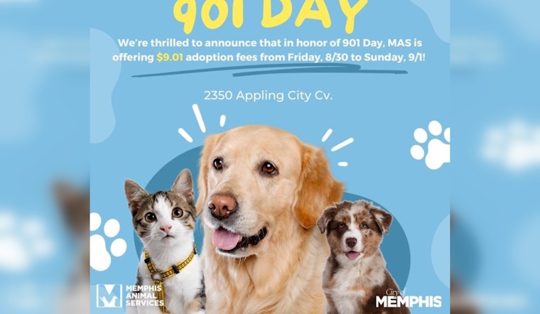 Memphis Animal Services Slashes Adoption Fees to $9.01 for 901 Day Celebration