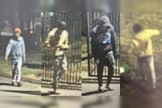 Memphis Family, Including 7-Year-Old Girl, Robbed at Gunpoint Near Hickory Grove Apartments