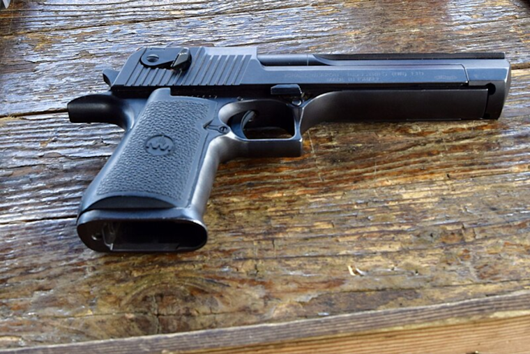 Memphis Gun Control Referendum Blocked from November Ballot Amid State Opposition