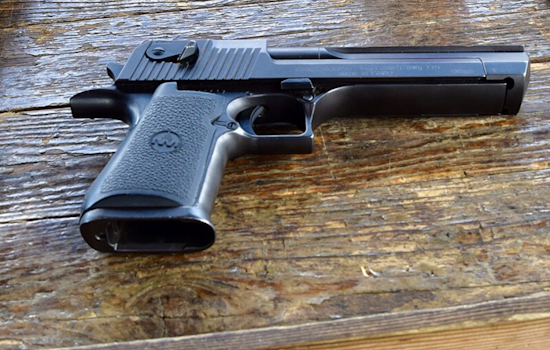 Memphis Gun Control Referendum Blocked from November Ballot Amid State Opposition