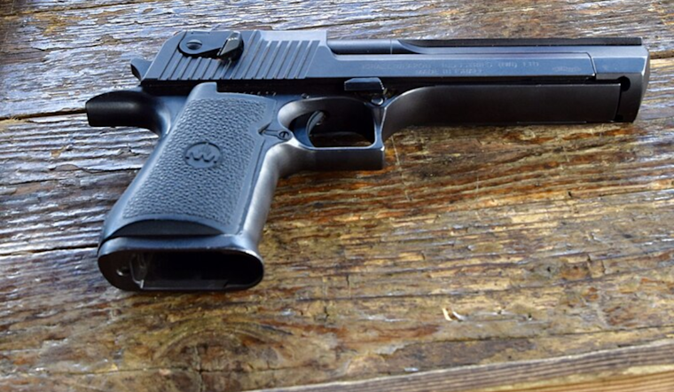 Memphis Gun Control Referendum Blocked from November Ballot Amid State Opposition