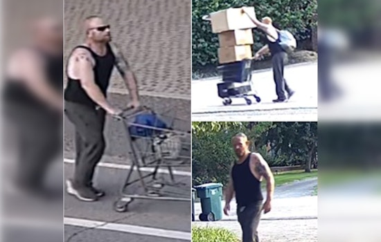 Memphis Police Seek Porch Pirate Suspected of Stealing Exclusive Sneakers from Coach Penny Hardaway's Home
