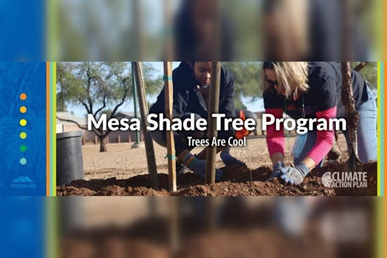 Mesa Residents Offered Free Shade Trees to Boost Energy Savings at Upcoming Workshop